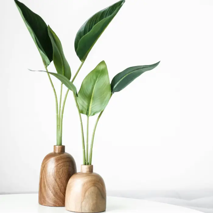 belle plantes dans deux caches pot en bois sur une table blanche